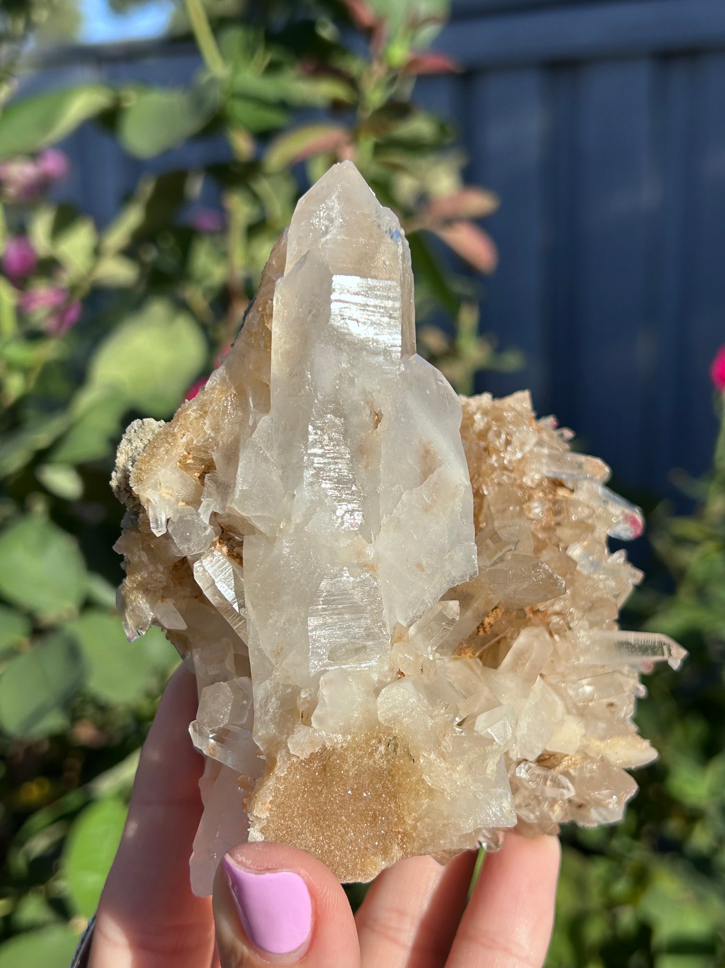 Golden Nirvana Himalayan Quartz cluster