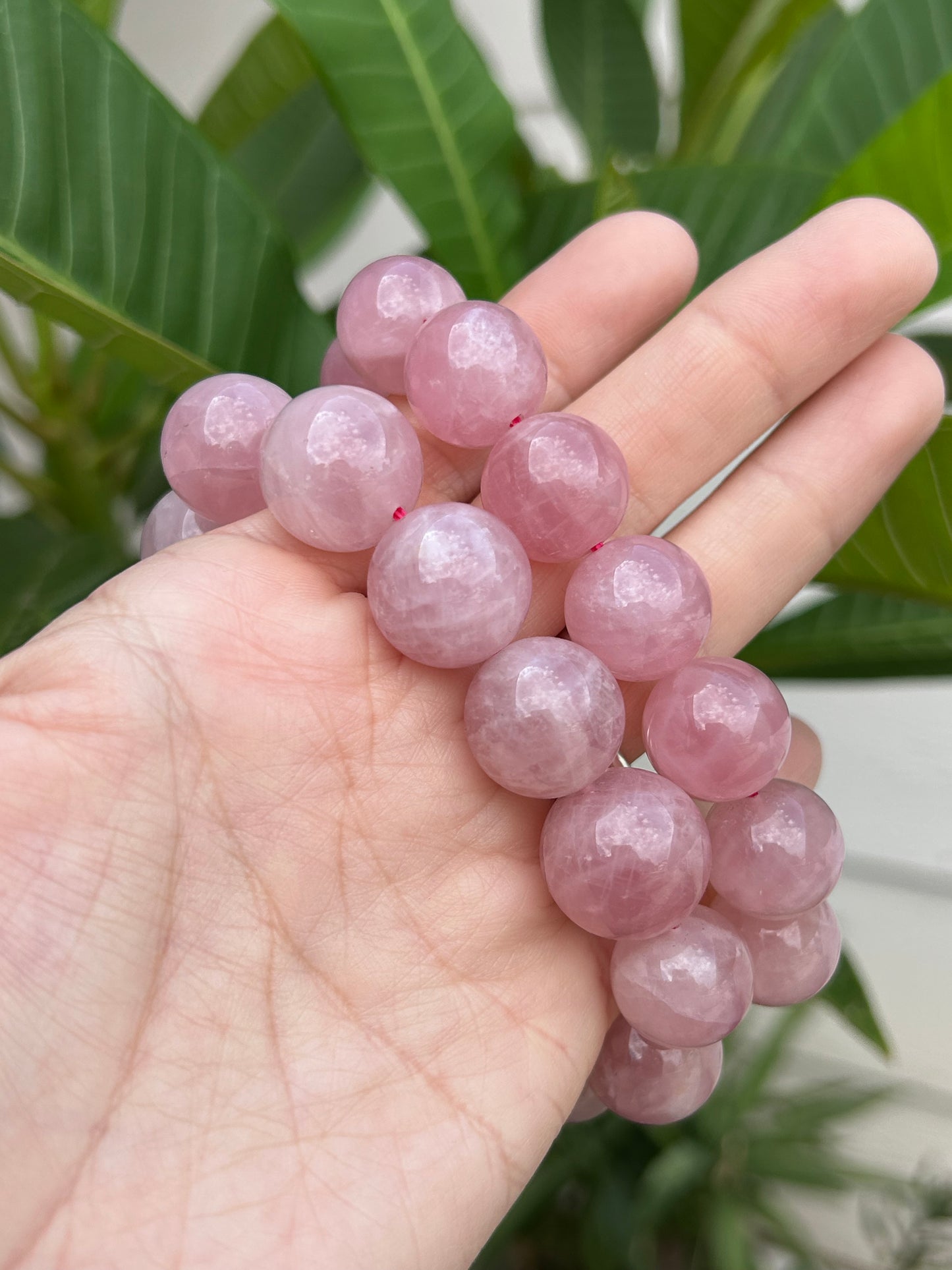 Madagascar Rose Quartz bracelet