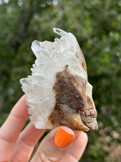 Clear Quartz cluster Skull