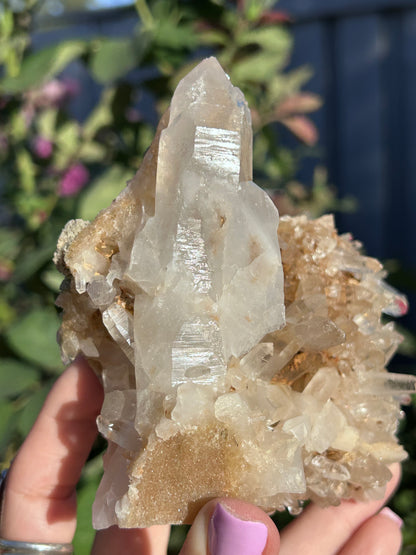 Golden Nirvana Himalayan Quartz cluster