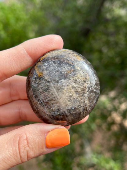 Black Moonstone palm stone