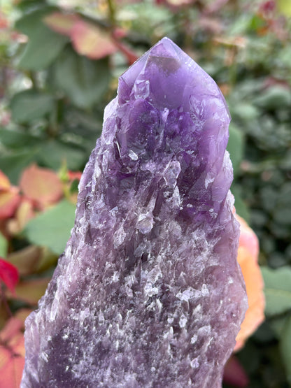 Bahia Amethyst bouquet