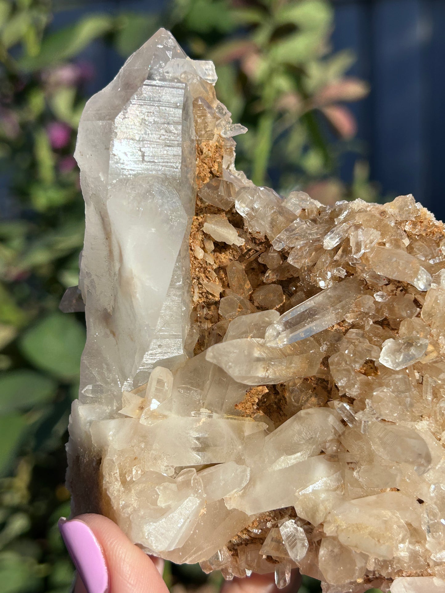 Golden Nirvana Himalayan Quartz cluster