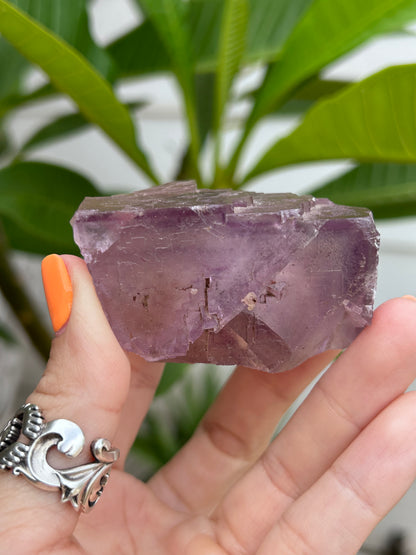 Rainbow Cubic Fluorite