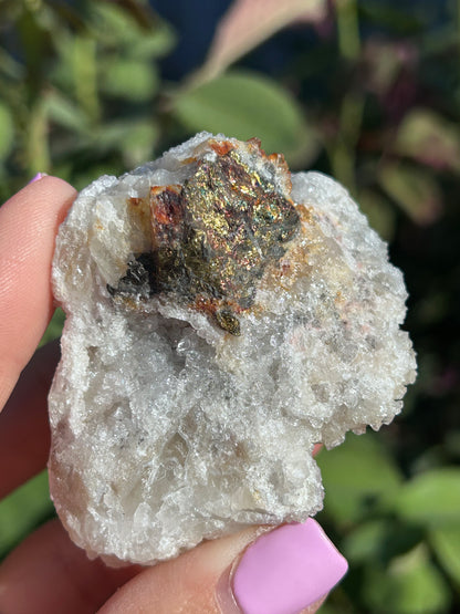 Anandalite w/Chalcopyrite