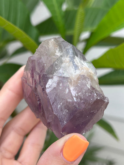 Rainbow Cubic Fluorite