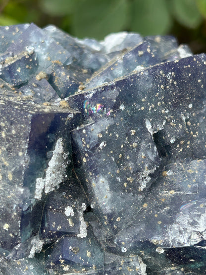 Nigerian Fluorite with Pyrite