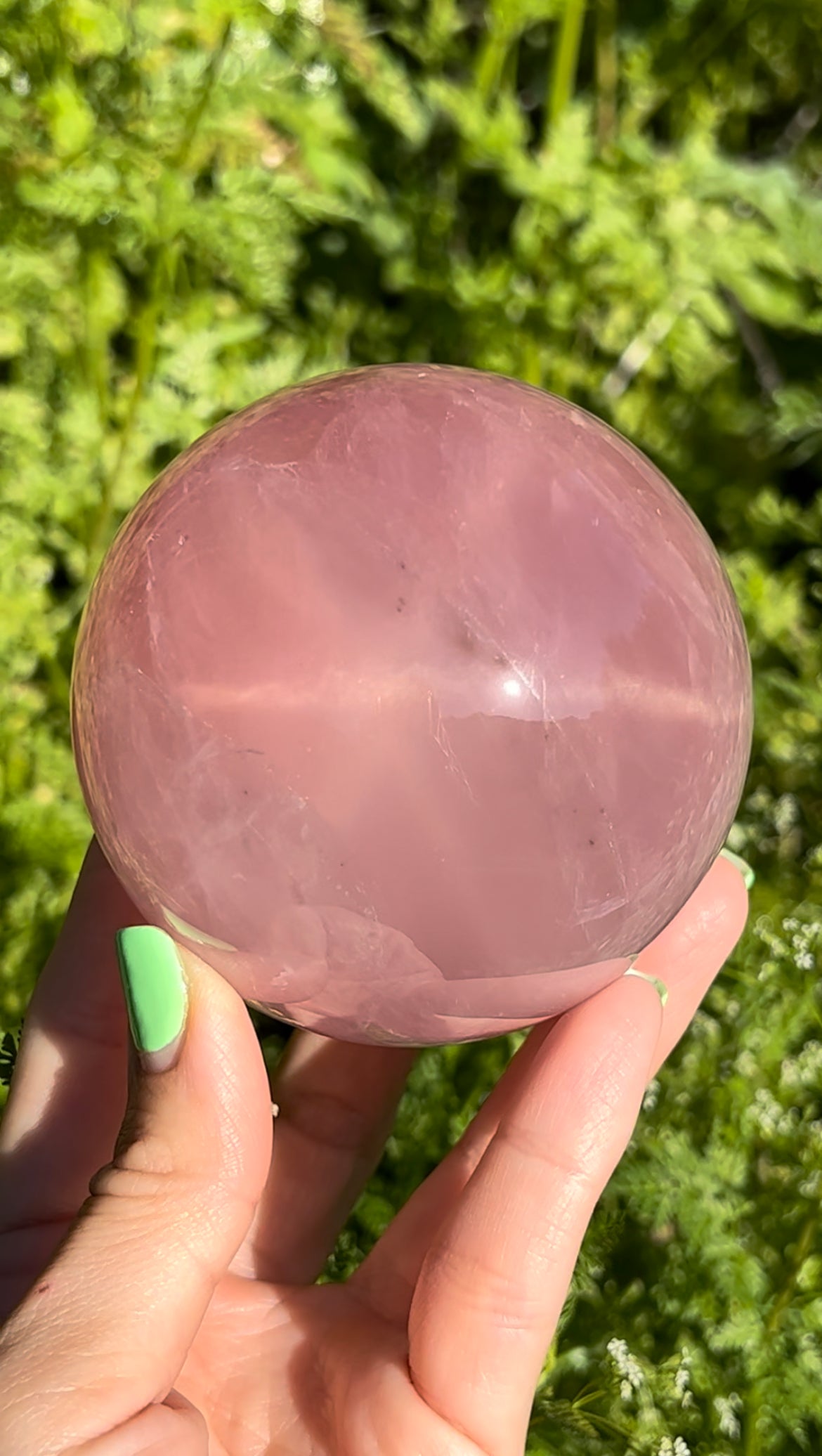 Star Rose Quartz sphere with Pyrite inclusions