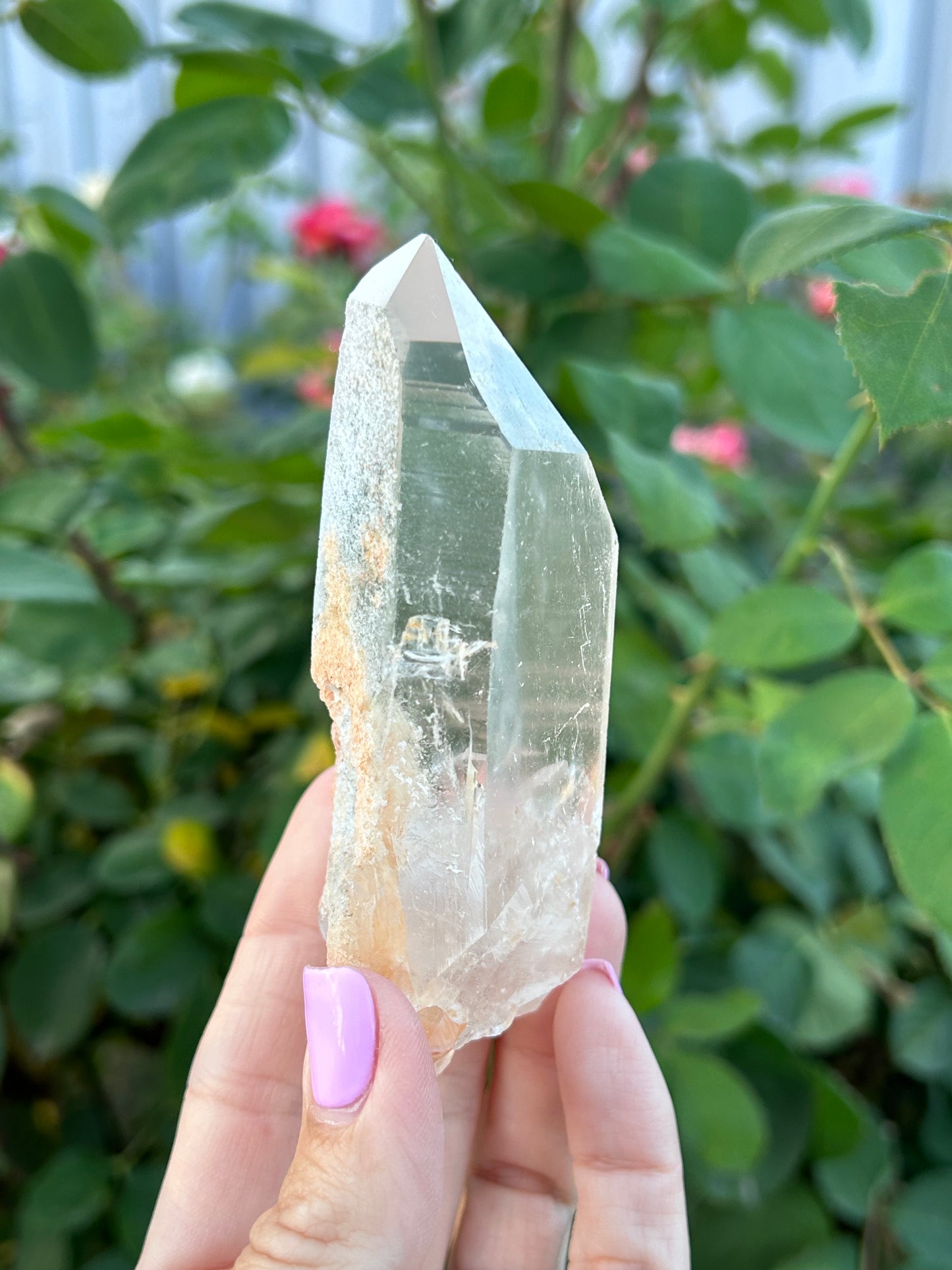 Lodolite/ Green Lemurian from Minas Gerais