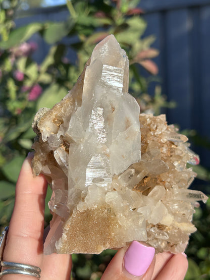 Golden Nirvana Himalayan Quartz cluster