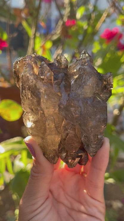 Smoky Window Quartz