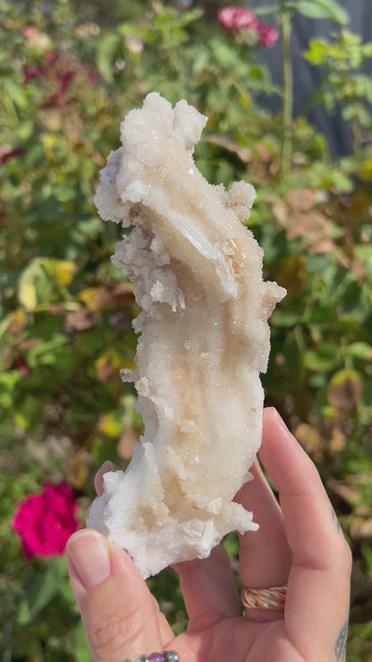 Rams Horn Selenite