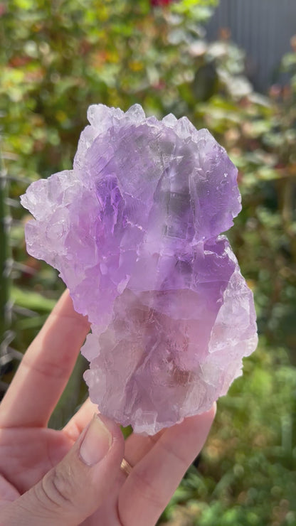 Lemurian Amethyst