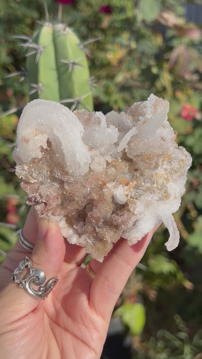 Rams Horn Selenite