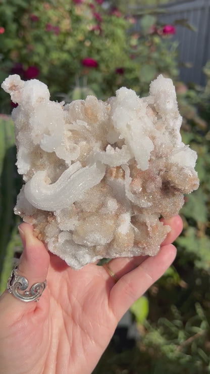 Rams Horn Selenite