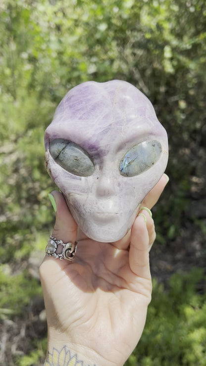 Chevron Amethyst Alien skull