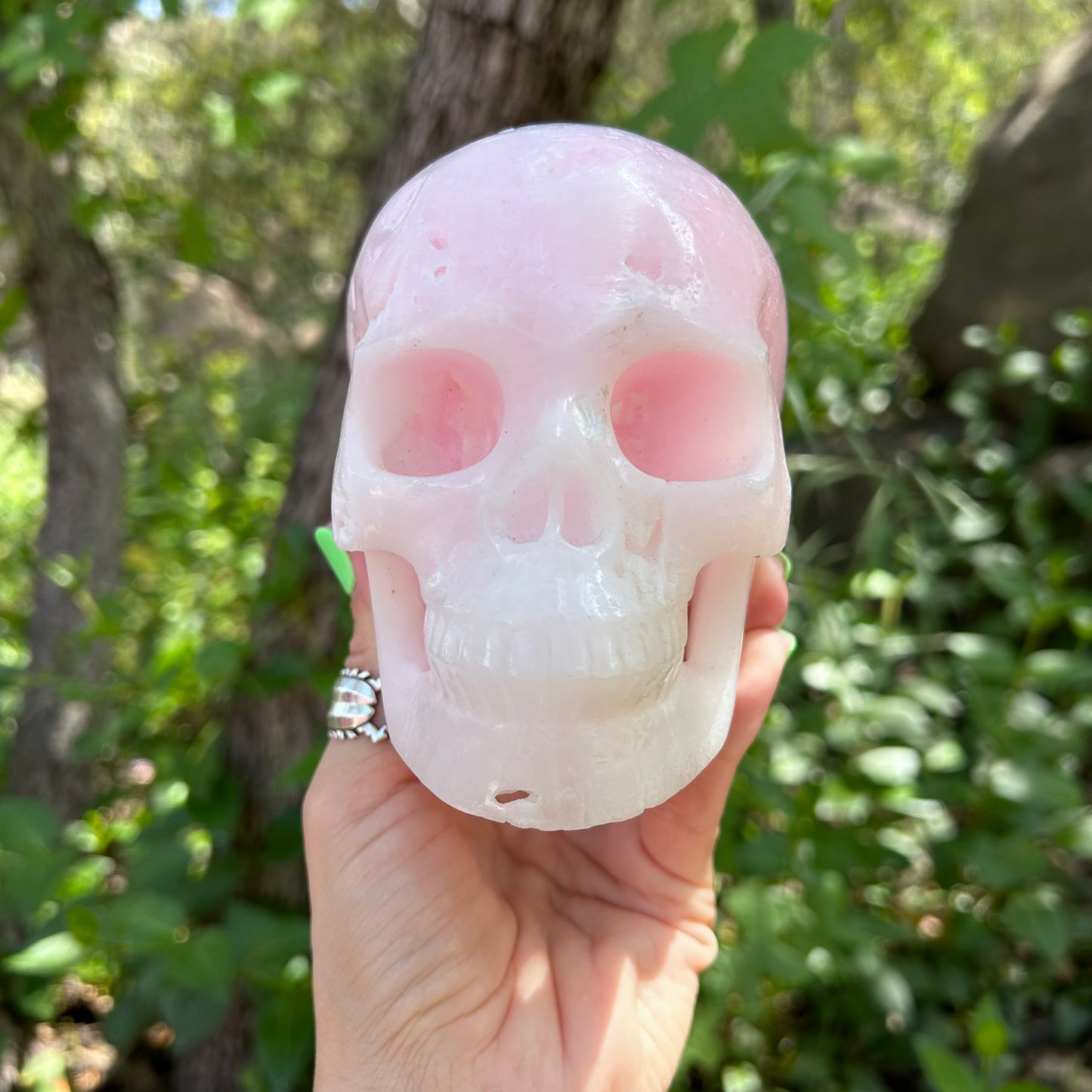 Pink Aragonite druzy skull