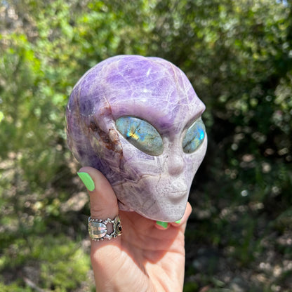 Chevron Amethyst Alien skull