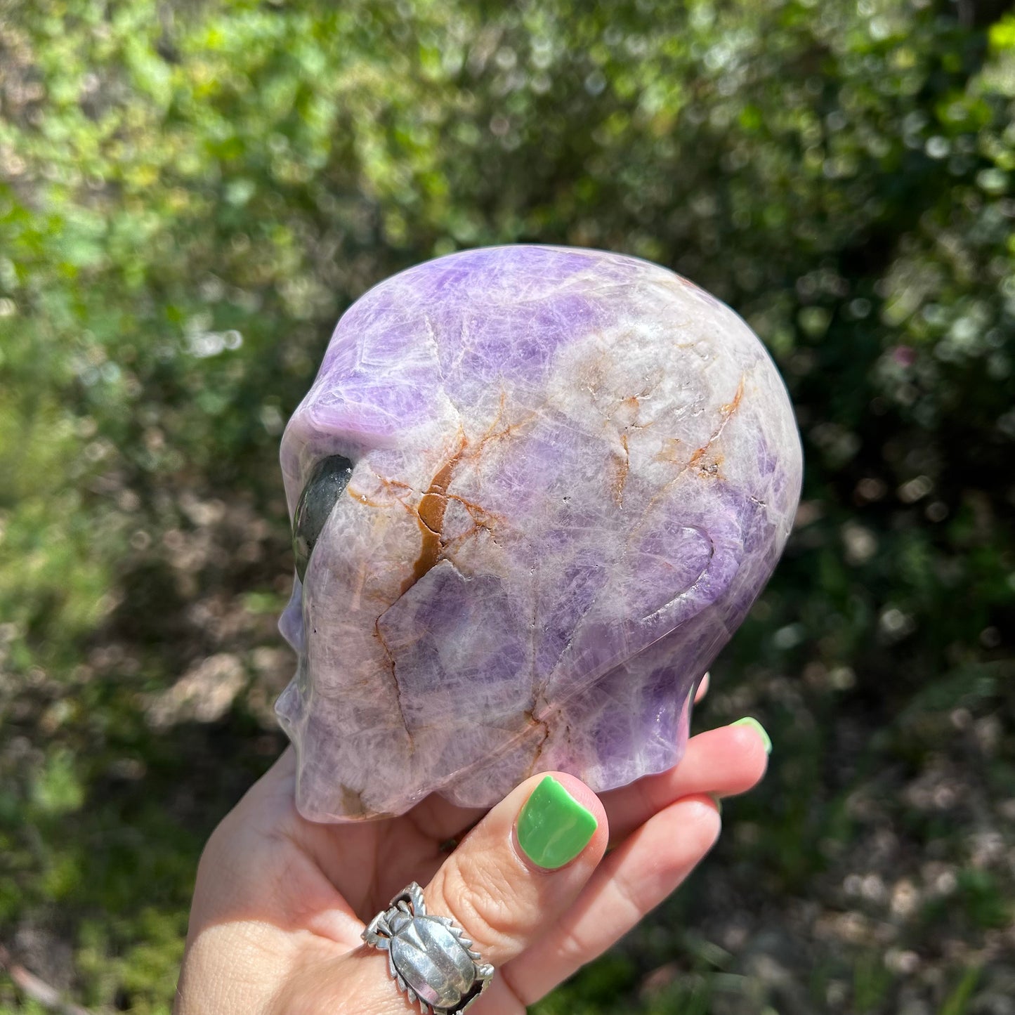 Chevron Amethyst Alien skull